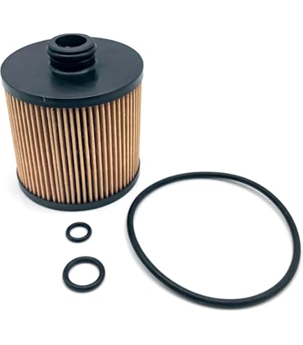 Amazon.com: Ferrari - 234742 - Oil Filter Cartridge for 430